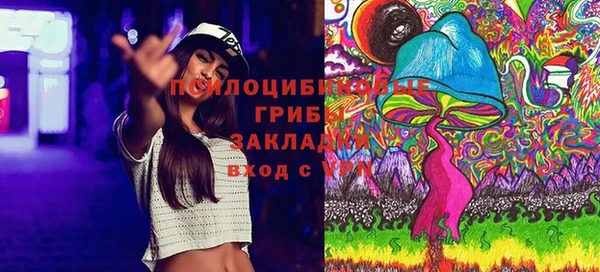 прущая мука Дмитров