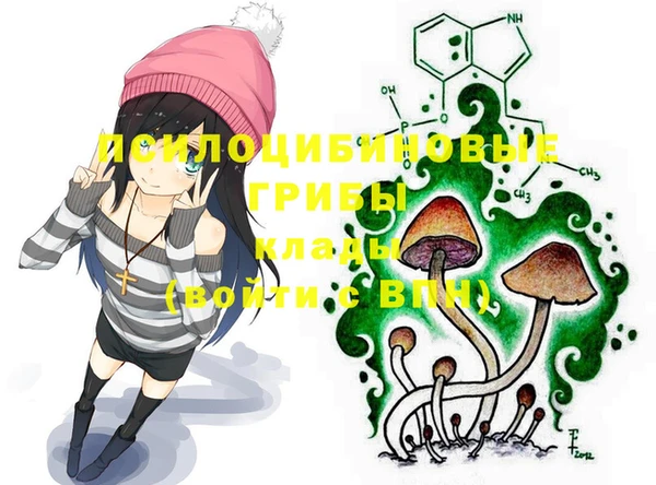 mdma Дмитровск
